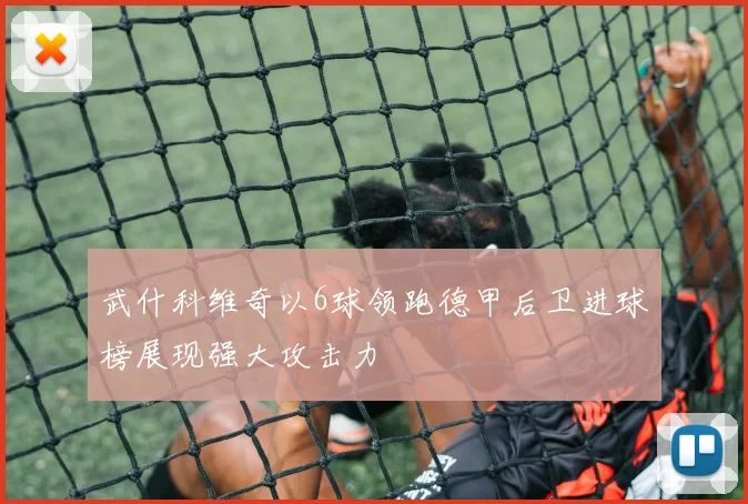 武什科维奇以6球领跑德甲后卫进球榜展现强大攻击力
